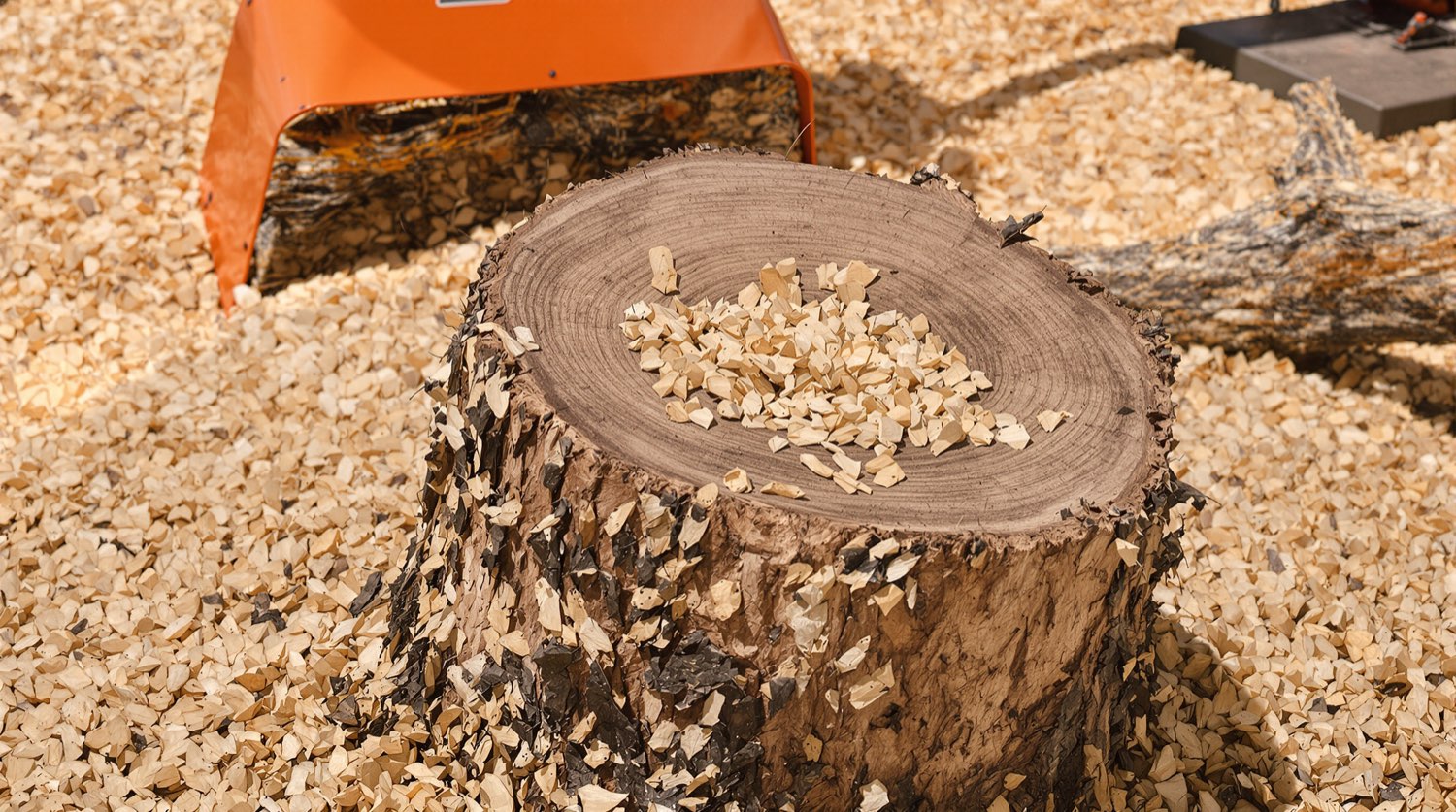 A freshly ground tree stump with fresh wood chips in an Arizona yard